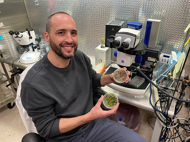 Man sits in a lab in front of a fancy-looking microscope. He holds up two Petrie dishes full of greenish ball-like things.
